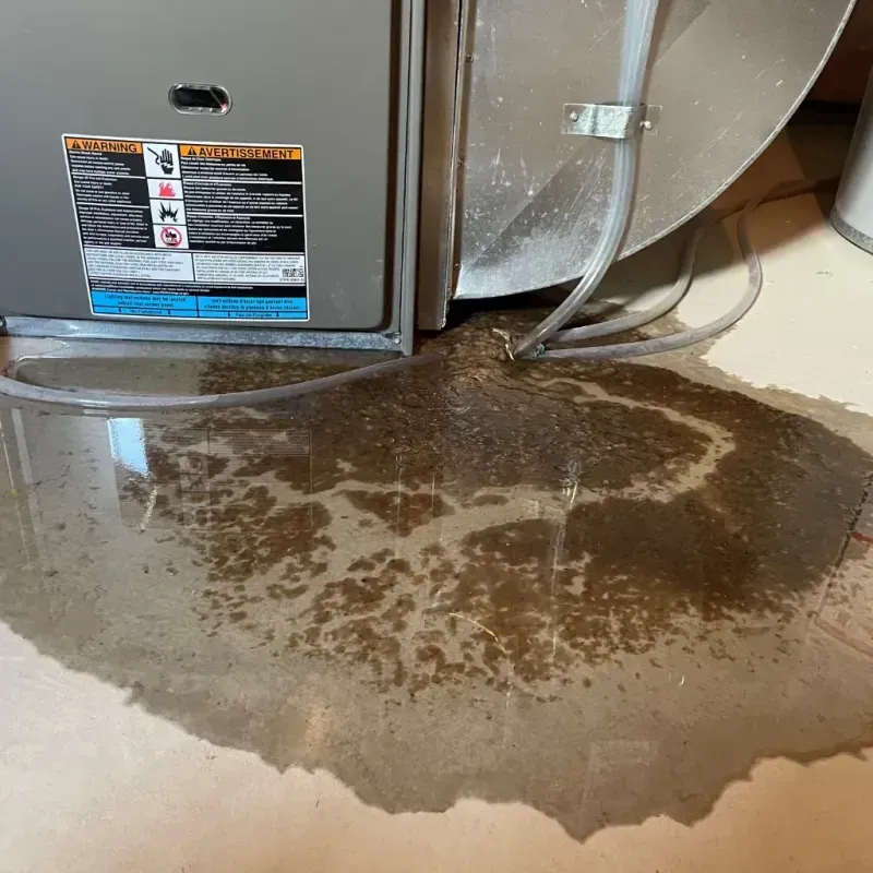 Appliance Leak Cleanup in Kirkland, IL